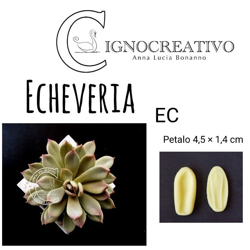 VENATOR FOR GREASY PLANT ECHEVERIA EC